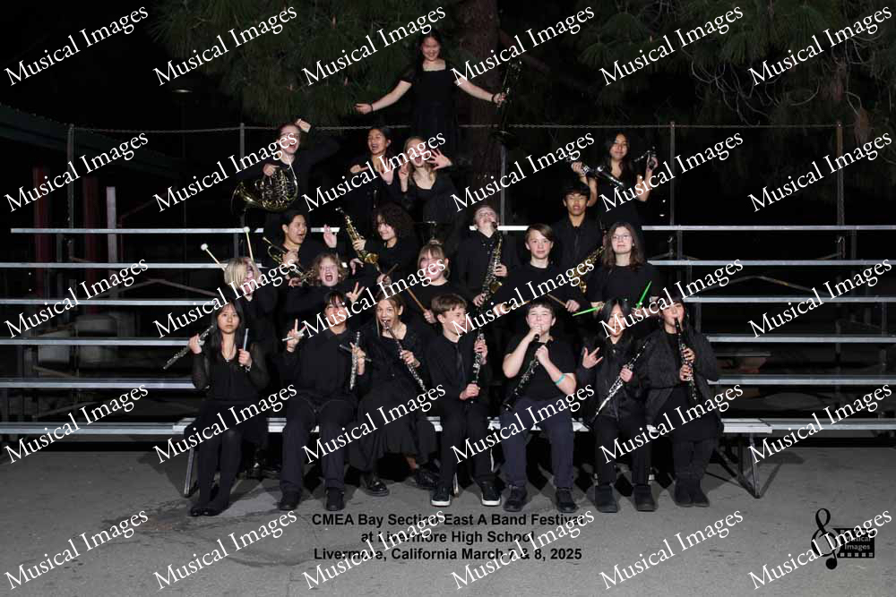 Musical Images